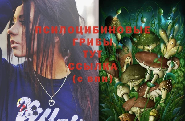 эйфоретик Баксан