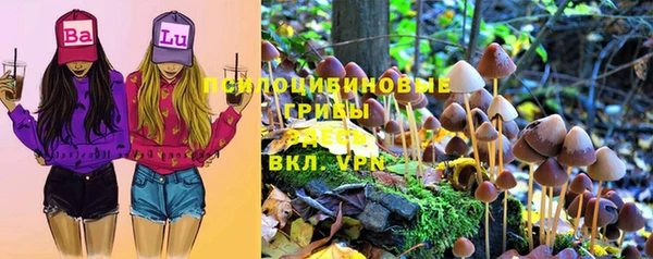 эйфоретик Баксан